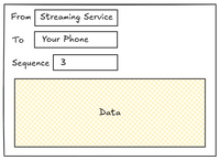 The same data packet as before, but now it has a sequence field.