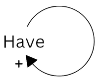 The have loop is a positive feedback self-loop showing the effects of possessing something of limited supply.